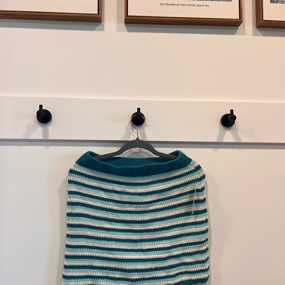 Striped Teal and White Knit Skirt